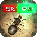 良陈美锦大结局